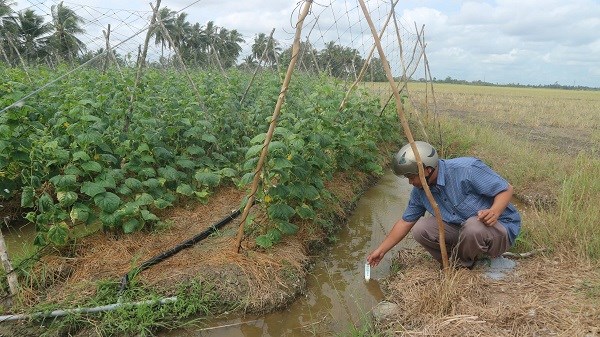 Chủ động ứng phó với hạn, mặn xâm nhập (23/01/2025)